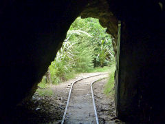 
The first 'Windows' tunnel, Karangahake, January 2013